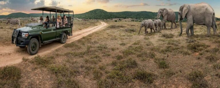 Kenya, Tanzania, Uganda, Rwanda, and Burundi: 25-Day Tour - The Itinerary in Detail: What Makes Each Stop Special?