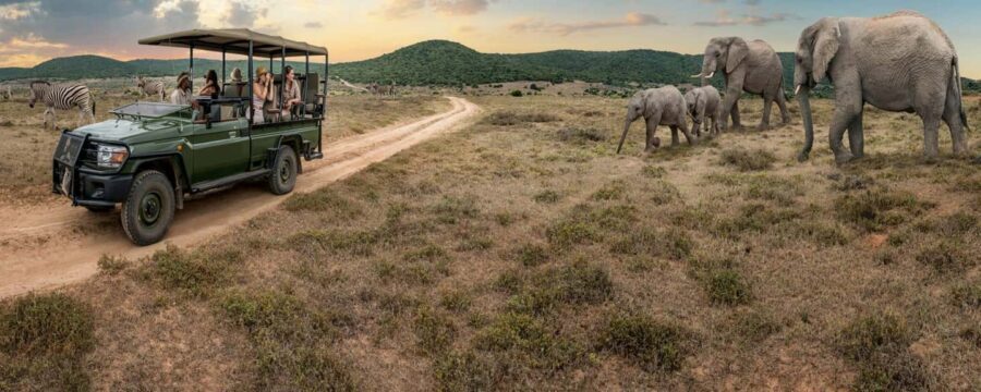 Kenya, Tanzania, Uganda, Rwanda, and Burundi: 25-Day Tour - The Itinerary in Detail: What Makes Each Stop Special?