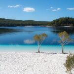 K'gari (Fraser Island) All Inclusive Day Tour - The Tour Experience: A Step-by-Step Breakdown