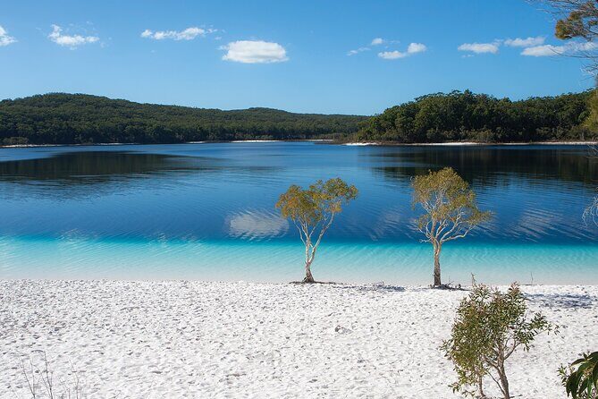 K'gari (Fraser Island) All Inclusive Day Tour - The Tour Experience: A Step-by-Step Breakdown
