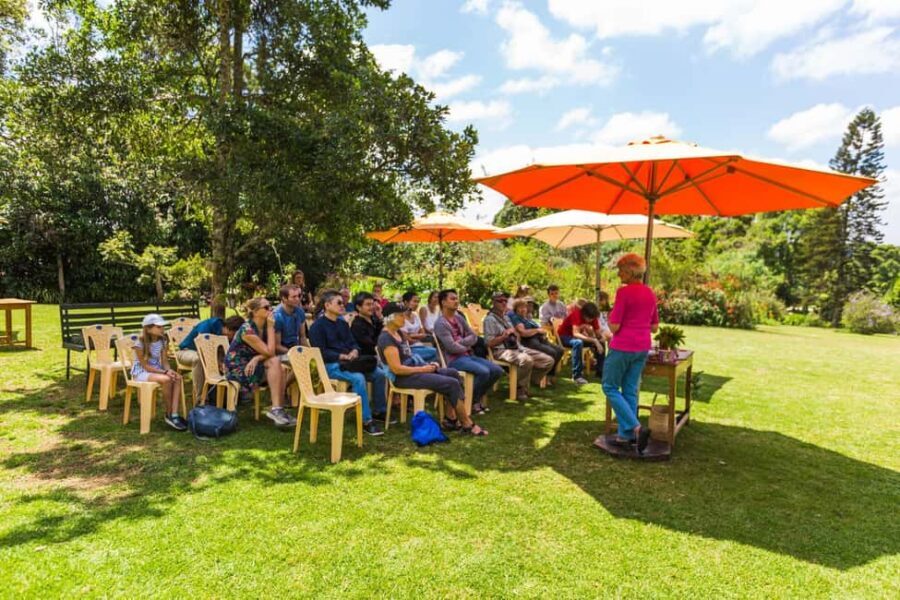 Kiambethu Tea Farm Tour & Lunch - The Practicalities and Value