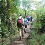 Kibale Forest Park: 3-Day Chimpanzee tracking & Crater lakes - How the Tour is Structured