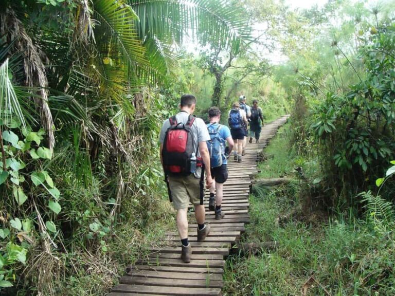 Kibale Forest Park: 3-Day Chimpanzee tracking & Crater lakes - How the Tour is Structured