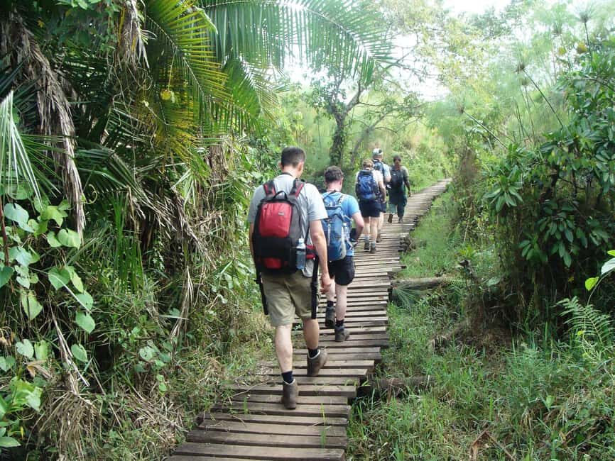 Kibale Forest Park: 3-Day Chimpanzee tracking & Crater lakes - How the Tour is Structured