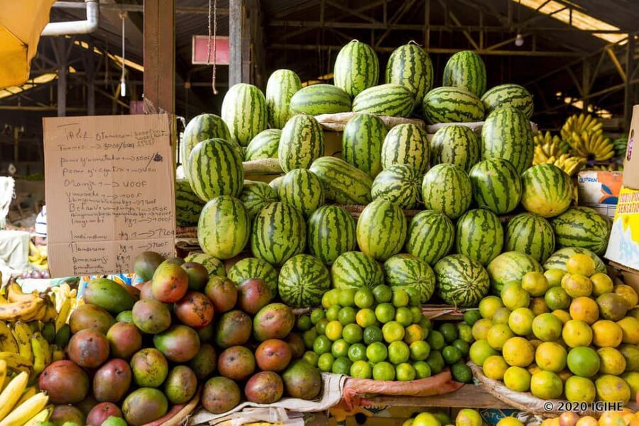 Kigali: 2-Day Gorilla Trekking Safari and City Tour - Final Words