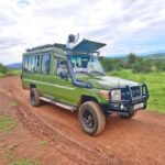 Kigali: Akagera National Park Big 5 & Big Cats Day Safari - Key Points