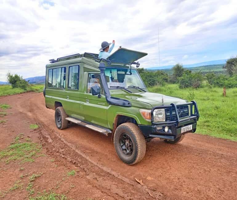 Kigali: Akagera National Park Big 5 & Big Cats Day Safari - Key Points