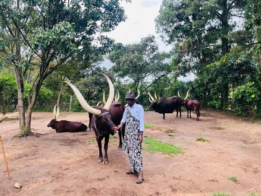 Kigali: Culture tour @ King palace, museum & the memorial - What’s Included & Practical Details