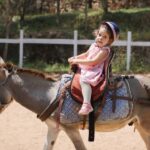 Kigali: Donkey Rides for Kids Experience - The Real Value of the Experience