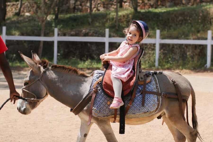 Kigali: Donkey Rides for Kids Experience - The Real Value of the Experience