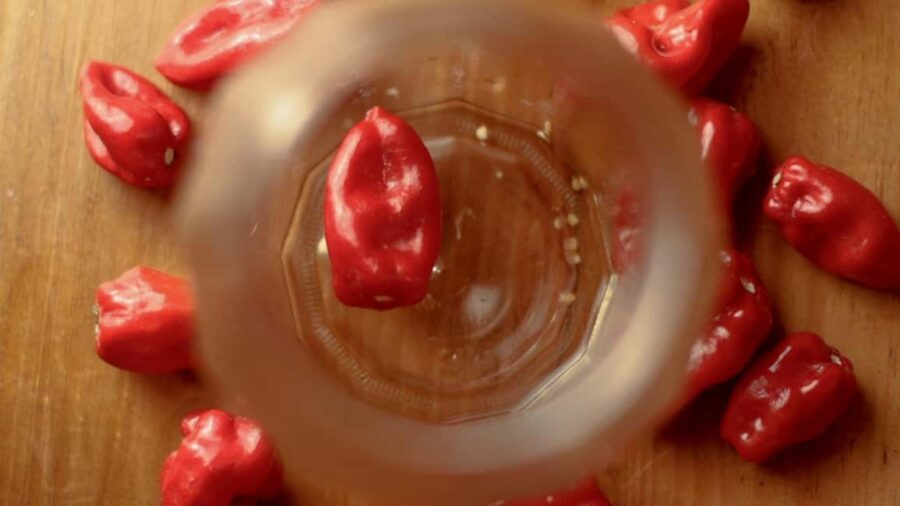 Kigali: Learn How to Make Hot Sauce from Scratch - Practical Details & Considerations