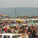 Kigali: Ntarama and Nyamata Memorial Day Tour - Who Will Love This Tour?