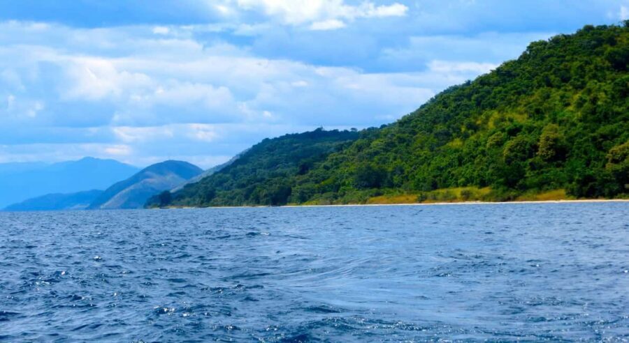 Kigoma: 2-Day Gombe National Park Chimpanzee Trekking - The Value of This Tour
