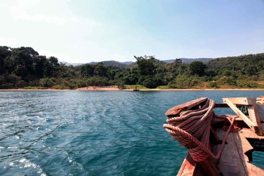 Kigoma: 5-Day Gombe and Mahale National Parks Safari - Introduction