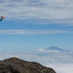 Kilimanjaro: 6-Day Luxury Climbing Tour with Marangu Route - Authentic Experiences & Insights from Reviews