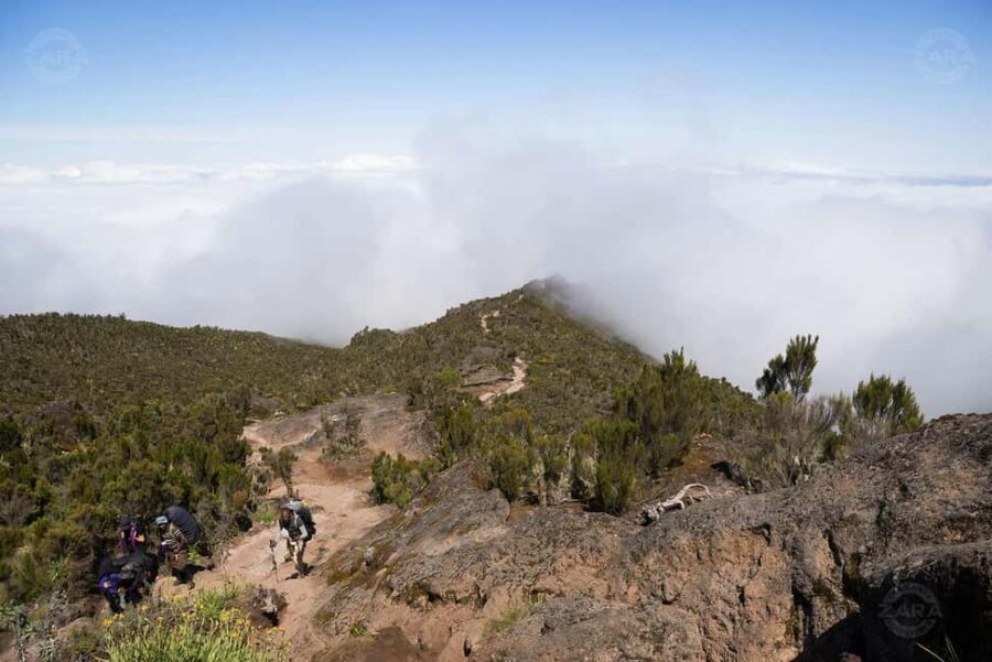 Kilimanjaro: 6-Day Machame Route Tour with Hotel & Transfer - What’s Included & What’s Not