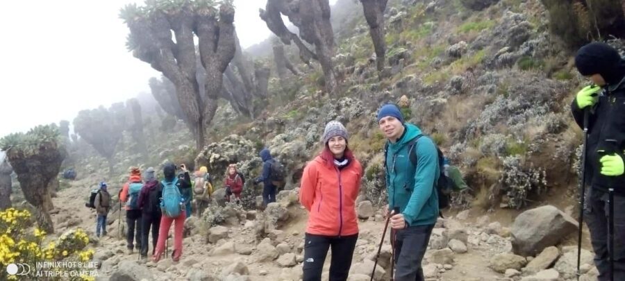 Kilimanjaro: 6-Day Machame Route Trekking Adventure - The Journeys Highlights