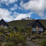 Kilimanjaro: 6-Day Marangu Route Climbing Tour - What’s Included and What’s Not