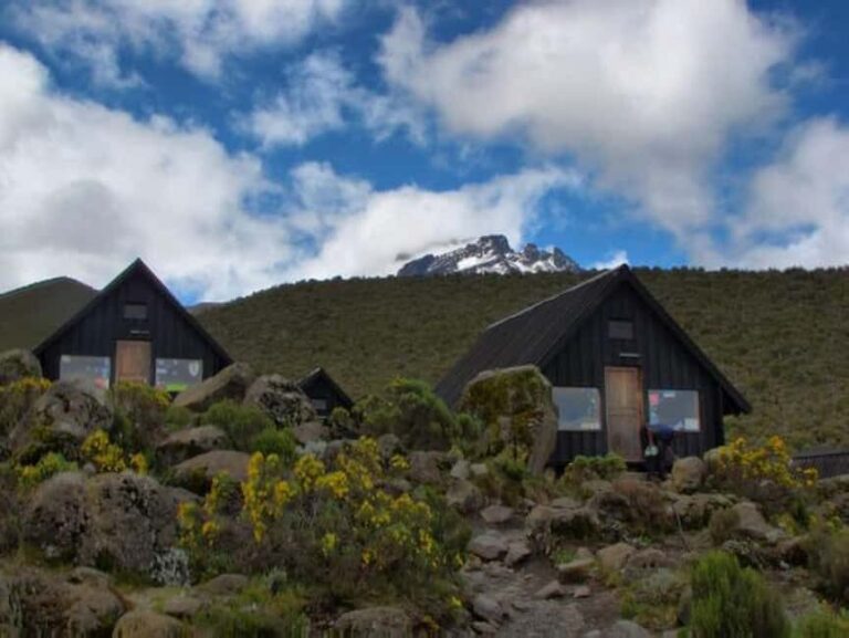 Kilimanjaro: 6-Day Marangu Route Climbing Tour - What’s Included and What’s Not