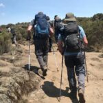 Kilimanjaro Day Hike (Shira Route) - What’s Included and Why It Matters