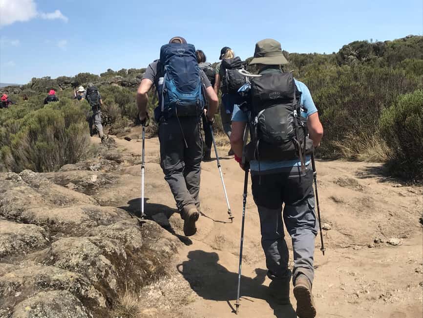 Kilimanjaro Day Hike (Shira Route) - What’s Included and Why It Matters