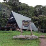 Kilimanjaro: Day trip -hike to Mandara Hut Kilimanjaro 2700m - An In-Depth Look at the Kilimanjaro Day Trip Experience