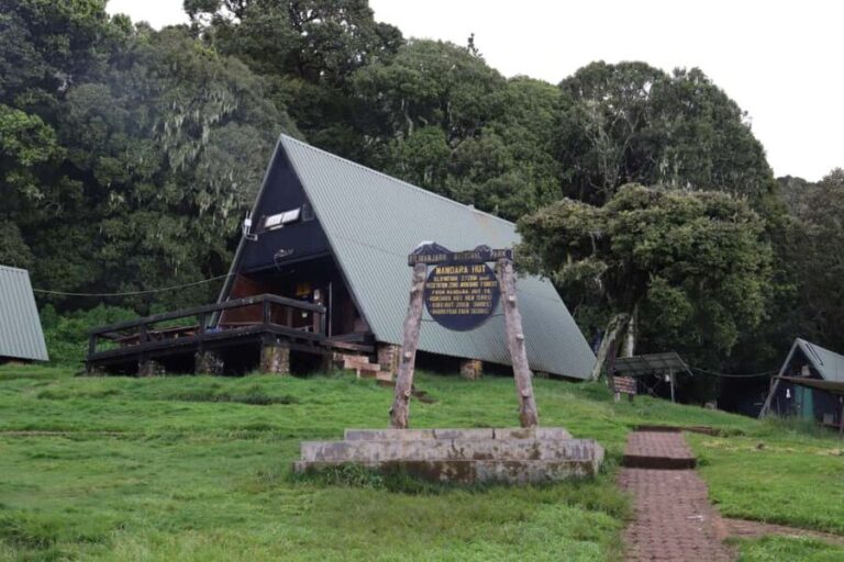 Kilimanjaro: Day trip -hike to Mandara Hut Kilimanjaro 2700m - An In-Depth Look at the Kilimanjaro Day Trip Experience