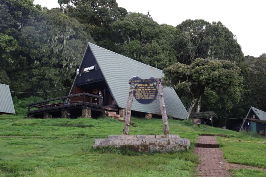 Kilimanjaro: Day trip -hike to Mandara Hut Kilimanjaro 2700m - An In-Depth Look at the Kilimanjaro Day Trip Experience