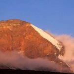 Kilimanjaro in a Day: Unforgettable Marangu Route Adventure - Practical Details and What to Bring