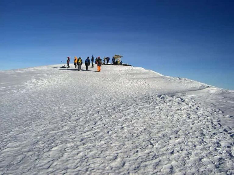 Kilimanjaro: Lemosho Route 7-Day Trek - Practical Tips for Your Kilimanjaro Trek