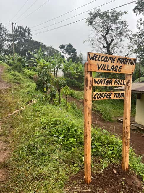 Kilimanjaro: Materuni Village Coffee Tour - Exploring the Kilimanjaro: Materuni Village Coffee Tour