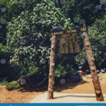 Kilimanjaro National Park- 8Day Lemosho Route - What to Bring & Important Considerations