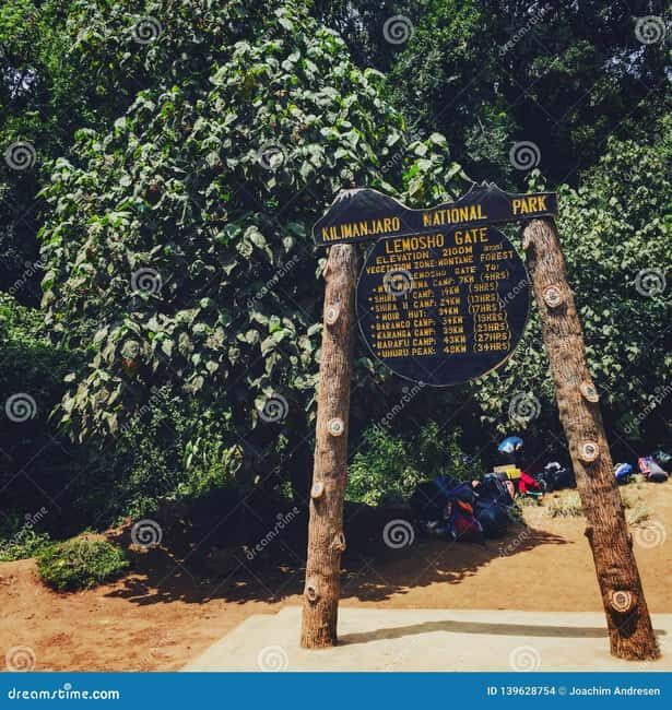 Kilimanjaro National Park- 8Day Lemosho Route - What to Bring & Important Considerations