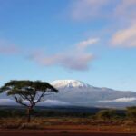 Kilimanjaro National Park  Shira Plateau, day hike - What’s Included and What Not