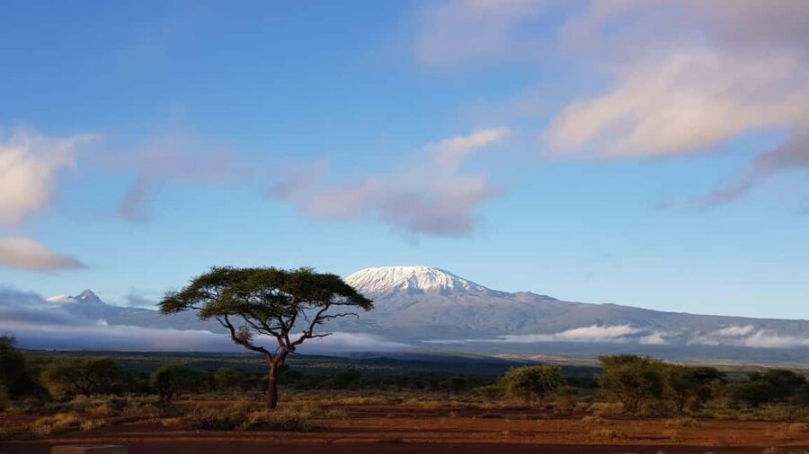 Kilimanjaro National Park  Shira Plateau, day hike - What’s Included and What Not