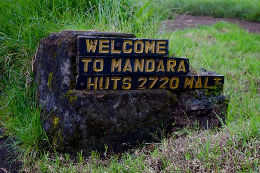 Kilimanjaro: Overnight Camp at Mandara Huts - Whats Included and Cost Analysis