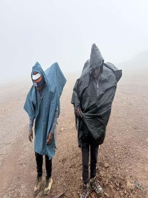 Kilimanjaro Trekking Rongai Route in 6 -Days - Day 2: Moving into Moorland Territory