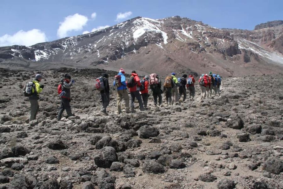 Kilimanjaro Trekking to Shira Plateau Full Day Tour - Practical Tips for the Trip