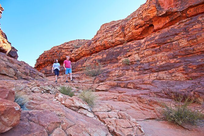 Kings Canyon Day Trip from Ayers Rock (Uluru) - Lunch, Relaxation, and the Scenic Return