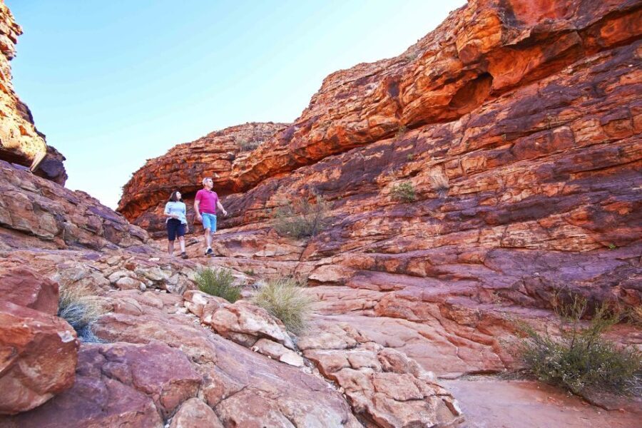 Kings Canyon: Full-Day Tour from Ayers Rock Resort - The Full Itinerary Breakdown