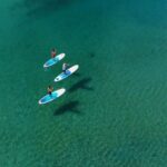 Kingscliff: Paddleboard and Mindfullness in the Mangroves - The Itinerary Breakdown
