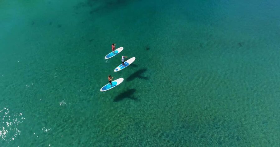 Kingscliff: Paddleboard and Mindfullness in the Mangroves - The Itinerary Breakdown