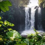 Kinuka Mori: Cultural and Nature day Trip with Lunch - The Drive to Kinuka Mori