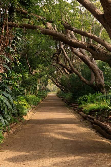 Kirstenbosch Botanical Garden and Constantia Wine Region - FAQ