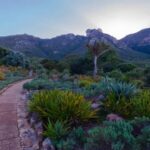 Kirstenbosch Botanical Gardens and Constantia Wine Tasting - The Sum Up