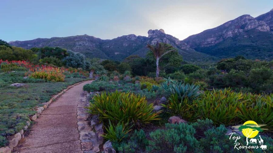 Kirstenbosch Botanical Gardens and Constantia Wine Tasting - The Sum Up
