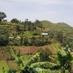 Kisoro: Coffee Village Tour with Hands-On Coffee Making - Who Will Love This Experience?