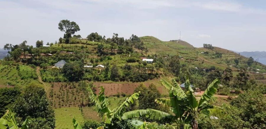 Kisoro: Coffee Village Tour with Hands-On Coffee Making - Who Will Love This Experience?