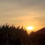 Kisoro: Hiking and Coffee Tour - Why This Tour Is Worth It