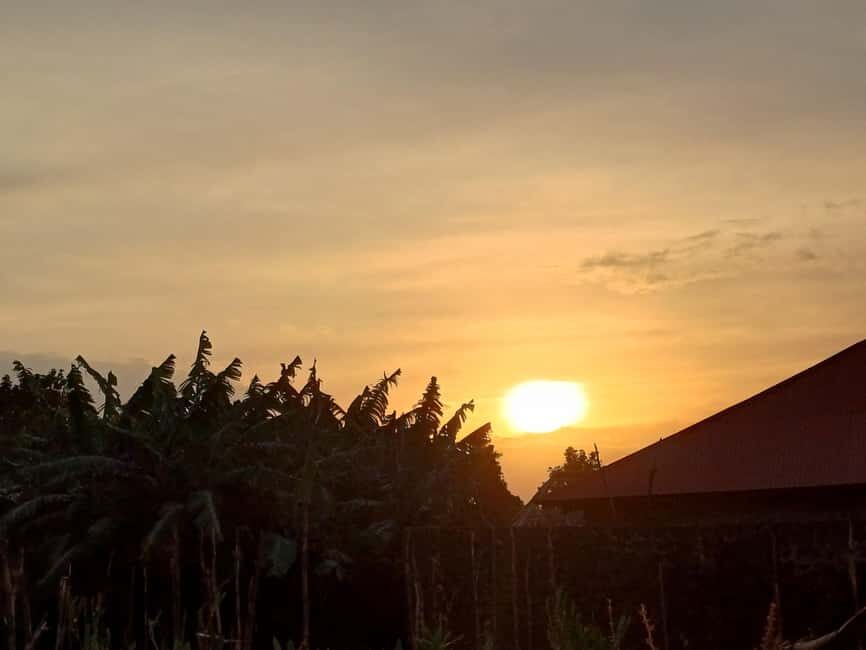 Kisoro: Hiking and Coffee Tour - Why This Tour Is Worth It
